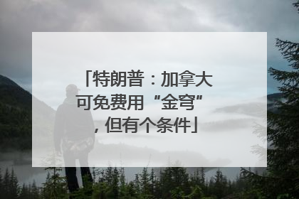 特朗普：加拿大可免费用“金穹”，但有个条件
