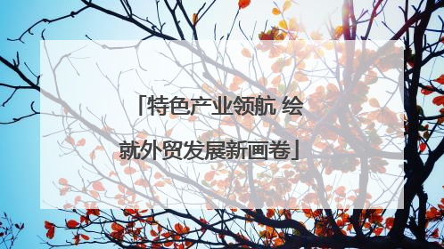 特色产业领航 绘就外贸发展新画卷