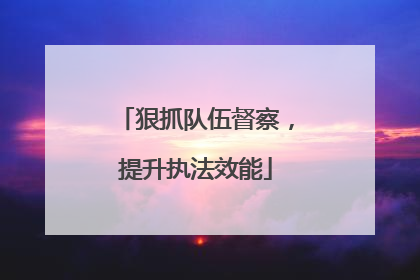 狠抓队伍督察，提升执法效能