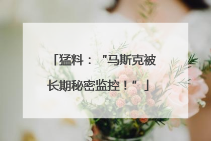 猛料：“马斯克被长期秘密监控！”