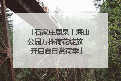 石家庄鹿泉丨海山公园万株荷花绽放 开启夏日赏荷季