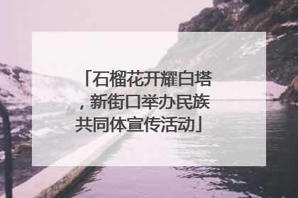 石榴花开耀白塔，新街口举办民族共同体宣传活动