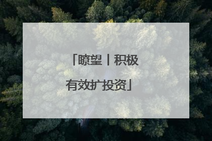 瞭望丨积极有效扩投资