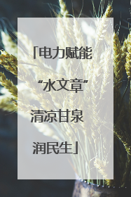 电力赋能“水文章” 清凉甘泉润民生