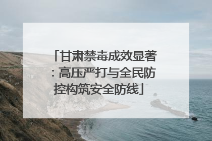 甘肃禁毒成效显著：高压严打与全民防控构筑安全防线
