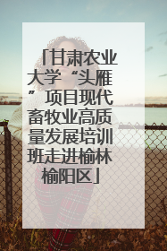 甘肃农业大学“头雁”项目现代畜牧业高质量发展培训班走进榆林榆阳区