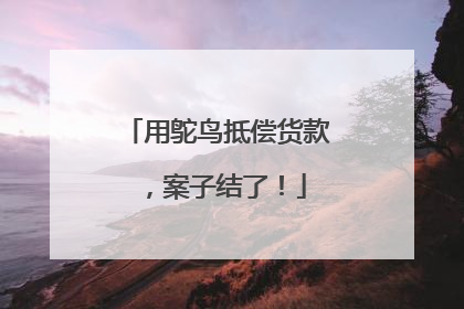 用鸵鸟抵偿货款，案子结了！