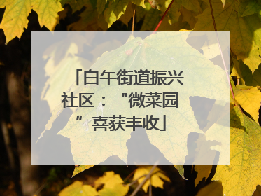 白午街道振兴社区：“微菜园”喜获丰收