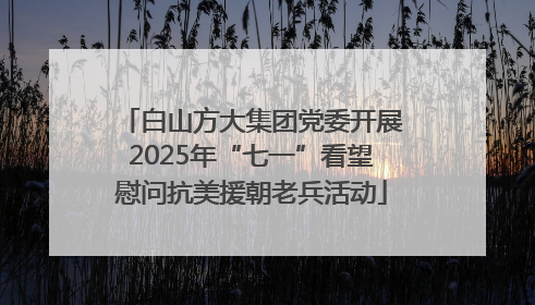白山方大集团党委开展2025年“七一”看望慰问抗美援朝老兵活动