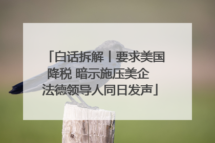 白话拆解丨要求美国降税 暗示施压美企 法德领导人同日发声
