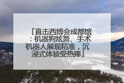 直击西博会成都馆：机器狗炫舞、手术机器人展现精准，沉浸式体验受热捧
