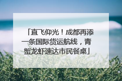 直飞仰光！成都再添一条国际货运航线，青蟹龙虾速达市民餐桌