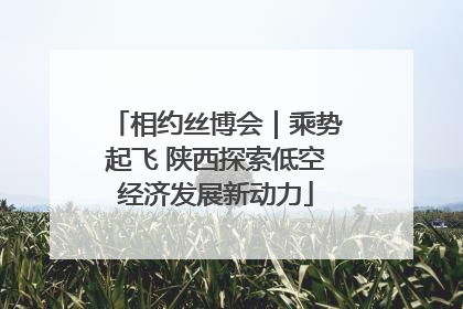 相约丝博会｜乘势起飞 陕西探索低空经济发展新动力