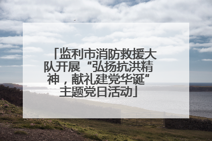 监利市消防救援大队开展“弘扬抗洪精神，献礼建党华诞”主题党日活动