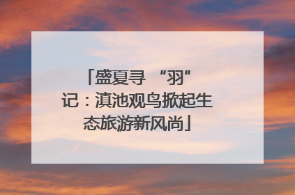 盛夏寻 “羽” 记：滇池观鸟掀起生态旅游新风尚