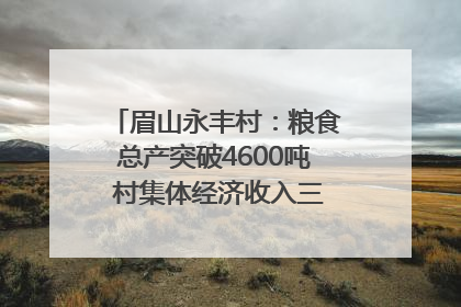 眉山永丰村：粮食总产突破4600吨 村集体经济收入三年倍增｜牵挂的村