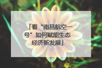 看“南昌航空一号”如何赋能生态经济新发展
