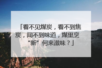 看不见煤炭，看不到焦炭，闻不到味道，煤里烹“新”何来滋味？