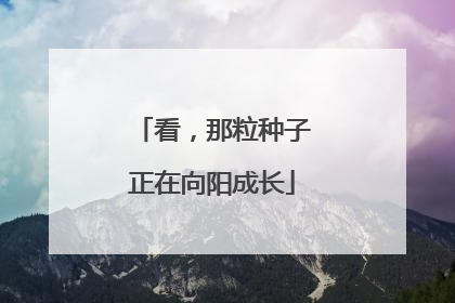 看，那粒种子正在向阳成长