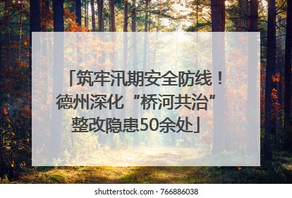 筑牢汛期安全防线！德州深化“桥河共治”整改隐患50余处