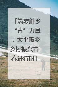 筑梦斛乡“青”力量：太平畈乡乡村振兴青春进行时