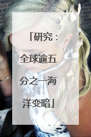 研究：全球逾五分之一海洋变暗