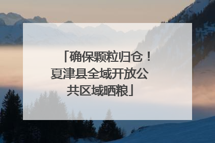 确保颗粒归仓！夏津县全域开放公共区域晒粮