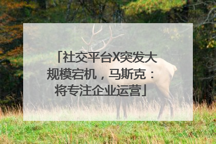 社交平台X突发大规模宕机，马斯克：将专注企业运营