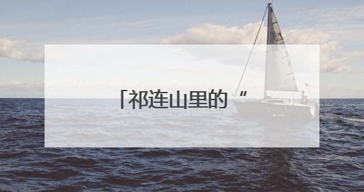 祁连山里的“动物医院”