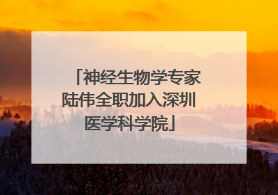 神经生物学专家陆伟全职加入深圳医学科学院