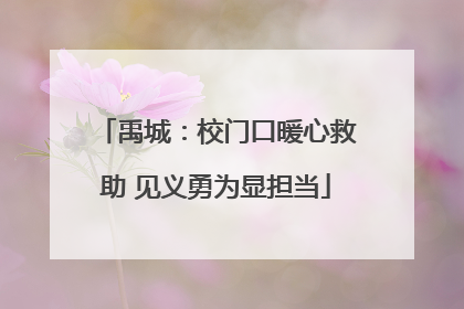 禹城：校门口暖心救助 见义勇为显担当