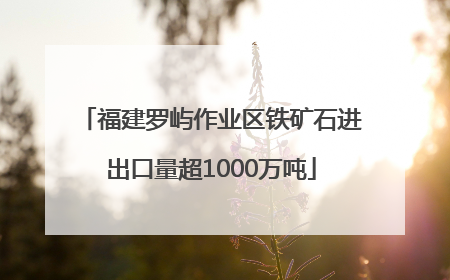 福建罗屿作业区铁矿石进出口量超1000万吨