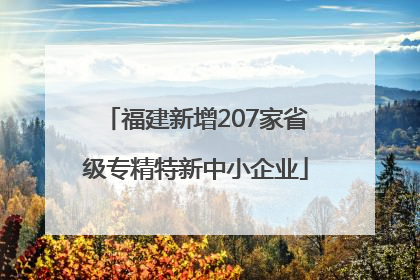 福建新增207家省级专精特新中小企业