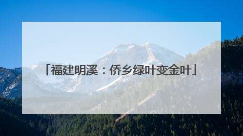 福建明溪：侨乡绿叶变金叶