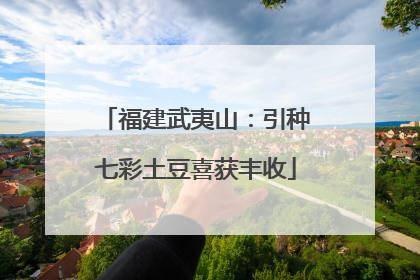 福建武夷山：引种七彩土豆喜获丰收