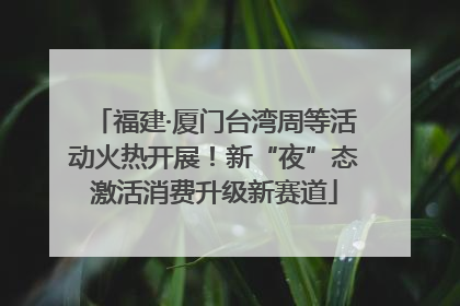 福建·厦门台湾周等活动火热开展！新“夜”态激活消费升级新赛道