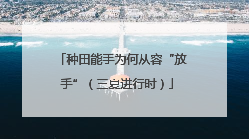种田能手为何从容“放手”（三夏进行时）