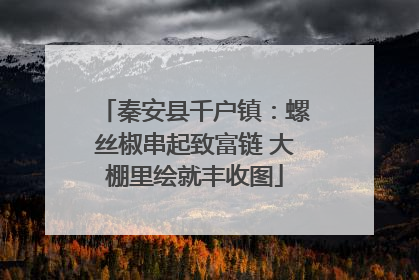 秦安县千户镇：螺丝椒串起致富链 大棚里绘就丰收图