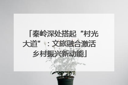 秦岭深处搭起“村光大道”：文旅融合激活乡村振兴新动能