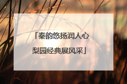 秦韵悠扬润人心 梨园经典展风采