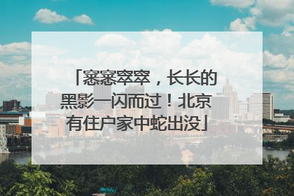 窸窸窣窣，长长的黑影一闪而过！北京有住户家中蛇出没
