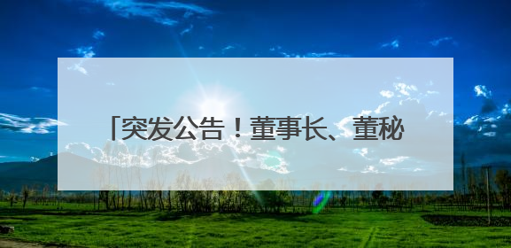 突发公告！董事长、董秘、副总经理集体辞职！