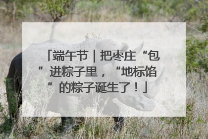 端午节｜把枣庄“包”进粽子里，“地标馅”的粽子诞生了！