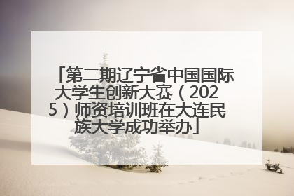第二期辽宁省中国国际大学生创新大赛（2025）师资培训班在大连民族大学成功举办