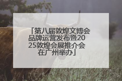 第八届敦煌文博会品牌运营发布暨2025敦煌会展推介会在广州举办