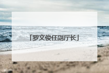 罗文俊任副厅长