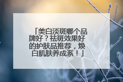 美白淡斑哪个品牌好？祛斑效果好的护肤品推荐，焕白肌肤养成系！
