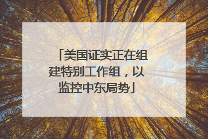美国证实正在组建特别工作组，以监控中东局势