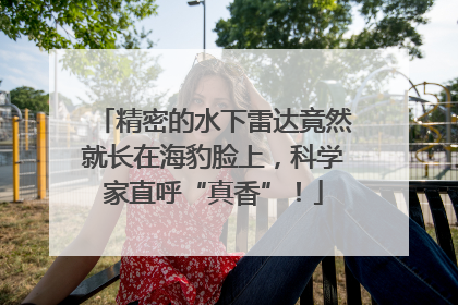精密的水下雷达竟然就长在海豹脸上，科学家直呼“真香”！