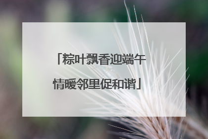 粽叶飘香迎端午 情暖邻里促和谐